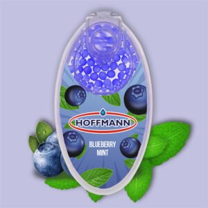 Aromakapseln Blueberry Mint 100er /20er Display