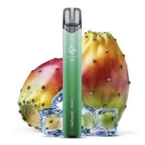 Elfbar E-Shisha 800 - Cactus Ice 20mg