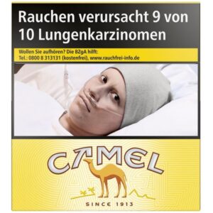 Camel Yellow [20,00] 6XL-Box /54